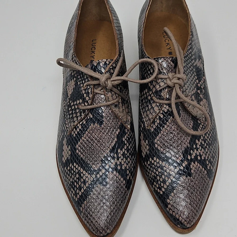 Lucky Brand Erreka Snakeskin Lace-Up Derby Oxfords Womans 7M - Picture 2 of 11